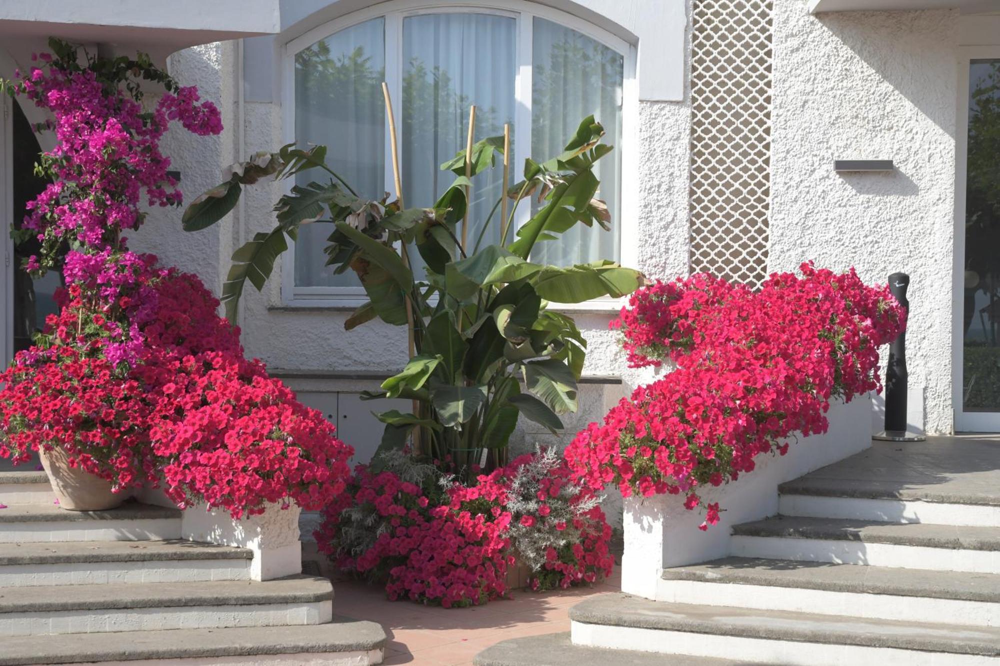 Bajamar Beach Hotel Formia Zewnętrze zdjęcie